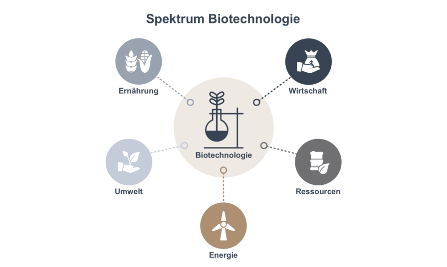 Eine Grafik zeigt die Vielfalt des Spektrums der Biotechnologien in übersichtlicher Form.